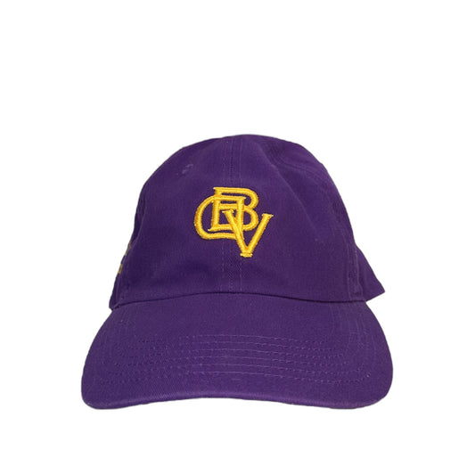 BDV a Modern Recycle Company Dad Hat