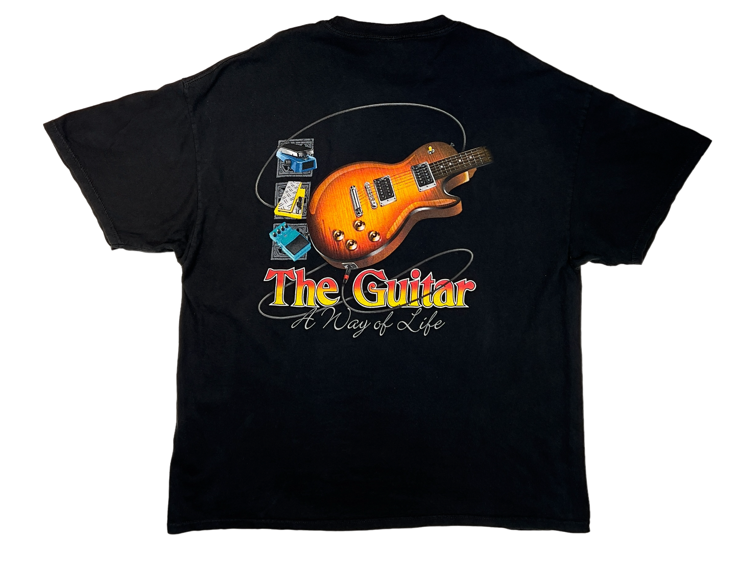 The Guitar A Way of Life
